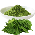 Pérdida de peso Moringa natural en polvo seco Moringa